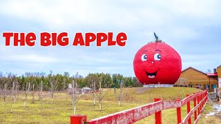 THE BIG APPLE | Amazing place to visit in Colborne, Ontario, Canada