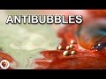 What are antibubbles?