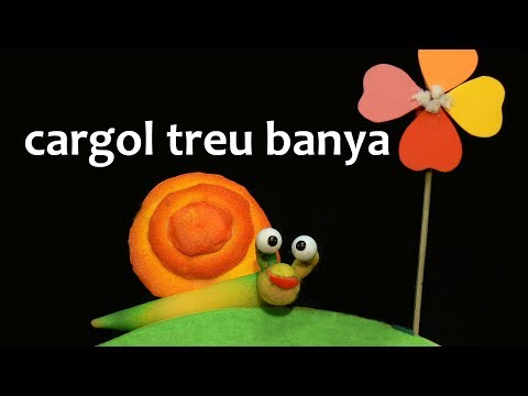 Vídeo: Com organitzeu el correu de caragol?