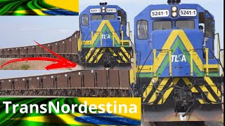 Transnordestina e os seus beneficios para o Sertão nordestino,  Sertão Black