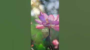 ﴿أتأمرون الناس بالبر وتنسون أنفسكم﴾ من سورة البقرة بصوت القارئ سعود آل جمعة #القرآن_الكريم