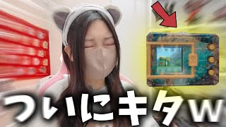 即完売して買えなかったあのモンハンコラボ商品がやっと届いたので開封