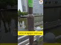 जापान का Tokyo शहर हैं बड़ा खूबसूरत बड़ी बड़ी Building's के बीच में से निकल रही नदी से लगे चार चांद
