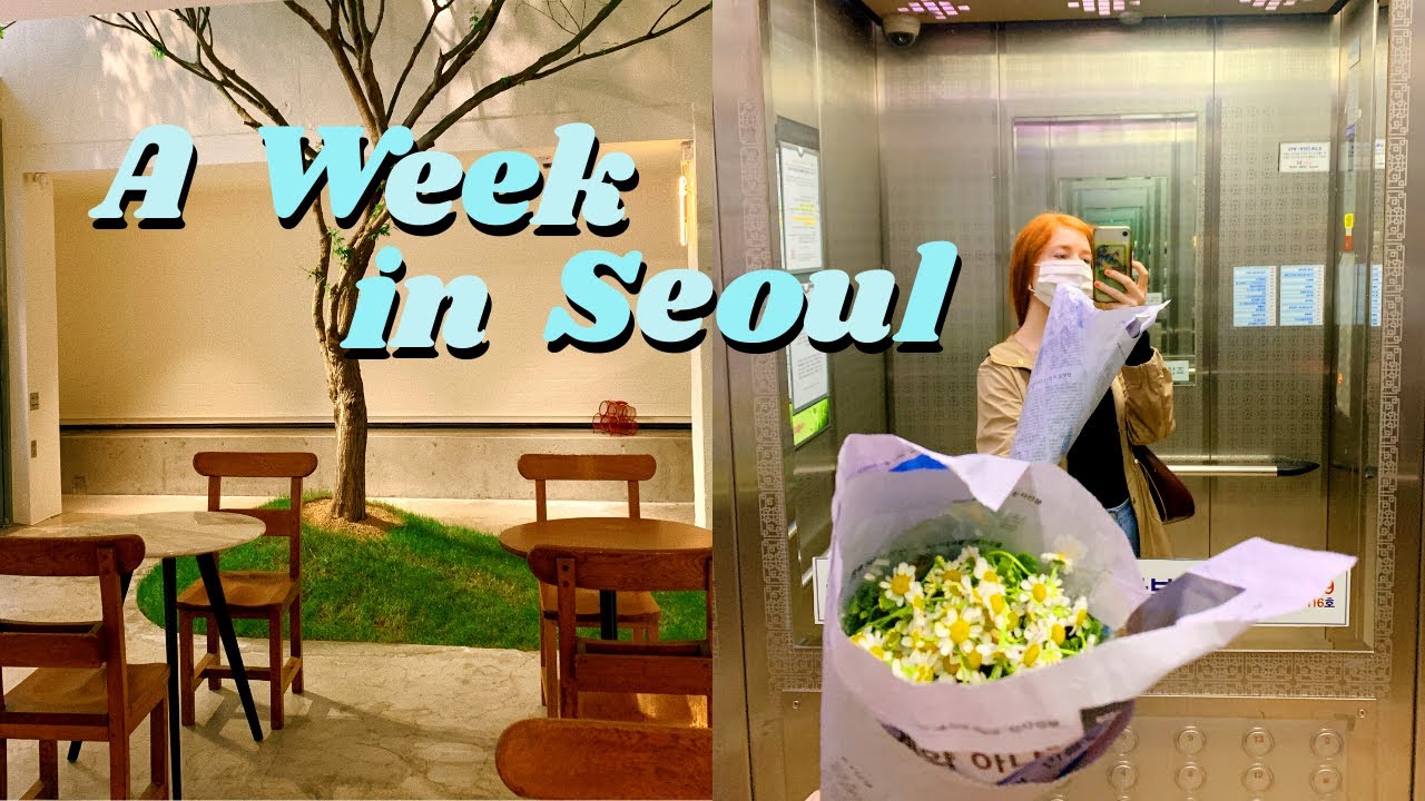 an *almost* week in my life in seoul, korea VLOG - YouTube