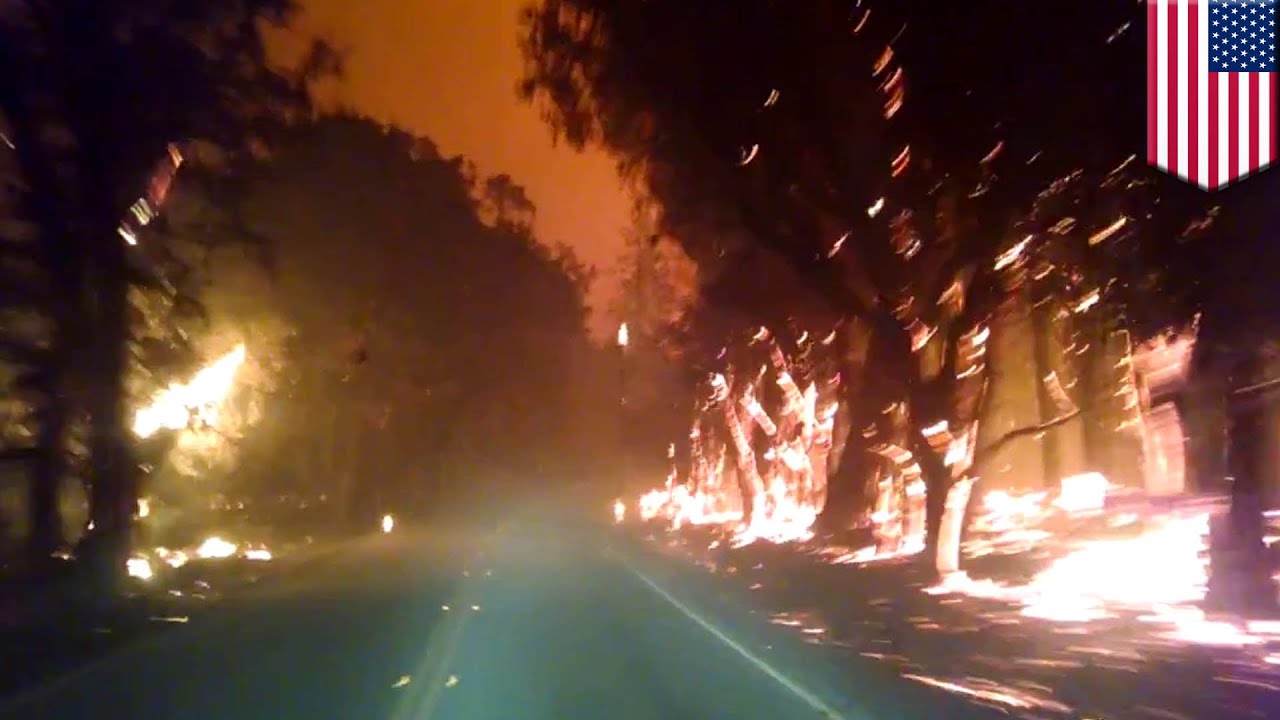 Nagranie Rodzina Ucieka Samochodem Z Płonącego Lasu