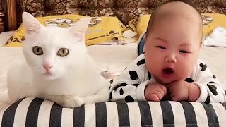 Babies and cat. Cute babies play with cats.