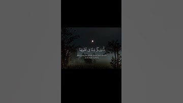 القارئ محمد اللحيدان(وشجرة تخرج من طور سيناء) Reader Mohammed Al-Luhaidan