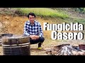 FUNGICIDA CASERO - CONTROL DE HONGOS