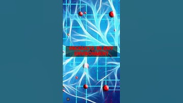 Behind the scenes: How lionvaplus.com AI creates amazing product images. Just $29.99.