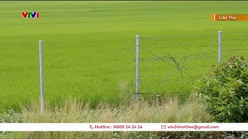 Tự ý tháo dỡ rào cao tốc để mở đường đi | VTV24