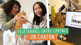 une journée dans ma VRAIE vie 🍂 chatons et télétravail entre copines