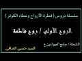 الروح 1 روح فاطمة ع السيد حسين الصافي