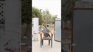 जदई करस Magical Chair Village Family Life Funny Video 