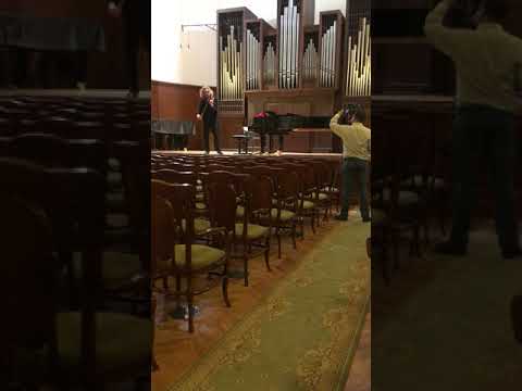 видео: Bach Chaconne D. Borodin