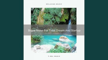 Brave Noise For New Dreams And Good Mood