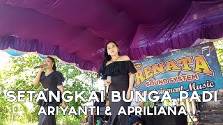 Fuad keyboard ARIYANTI & APRILIANA SETANGKAI BUNGA PADI New Renata Khairuddin Jlp