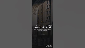 سورة الزمر🌿للشيخ عبد البديع غيلان