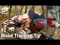 Deer Blood Trailing Tips and Rant