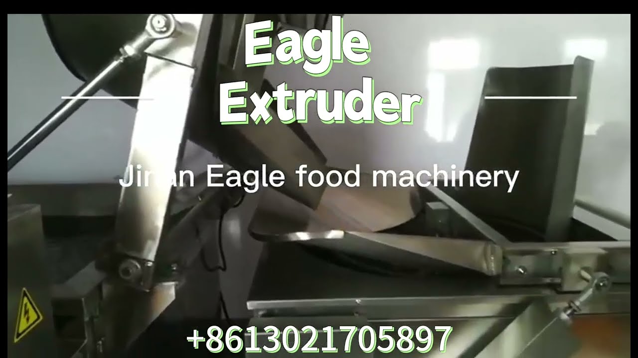 Batch fryer machine with deoiling and seasoning factory for snacks and beans, peanuts, green peas