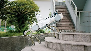 Jueying X20: Define a New Boundary for Quadruped Robot Industry Applications