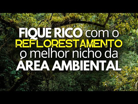 Como ficar Rico
