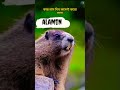 Alamin Funny VideoЁЯШВЁЯШВЁЯШВЁЯШБ Alamin Funny VideoЁЯШВЁЯШВЁЯШВЁЯШБ