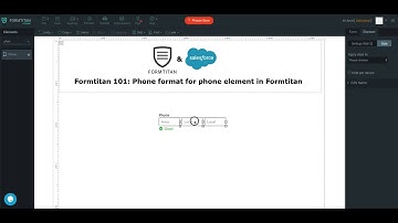 Phone format for phone element in Formtitan