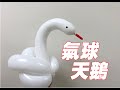 氣球天鵝｜Balloon swan｜バルーンスワン｜气球天鹅