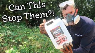 We Used 30% White Vinegar to Tackle Huge Brambles at the Allotment