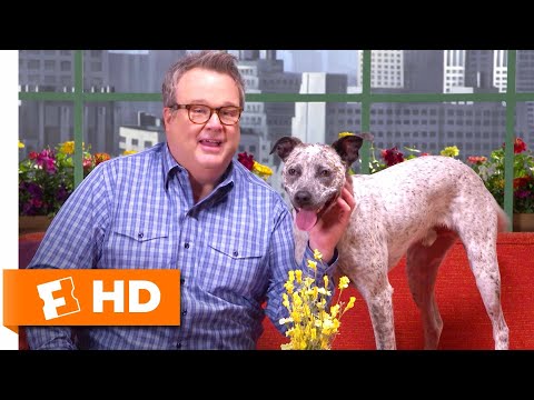 my-pet-stories-with-patton-oswalt-and-eric-stonestreet-|-the-secret-life-of-pets-2-interview