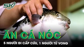 5 người đi cấp cứu, 1 người tử vong sau khi ăn cá nóc | SKĐS