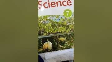 Grade 7 Science Unit#6 MCQS+T,F& Unit#7 pg#82,83 Rd+U/The Message School Sialkot video lectures