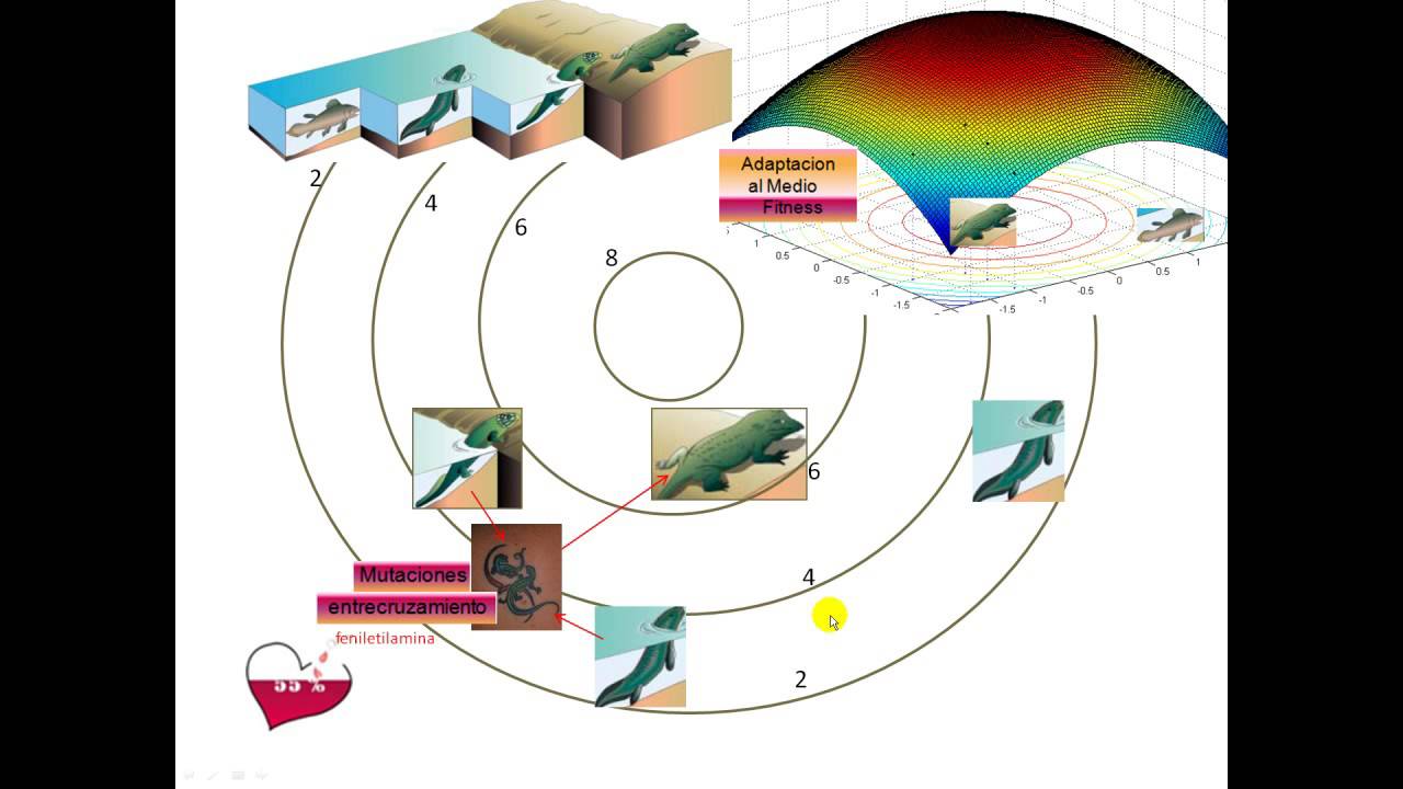 Evolucion Era Mesozoica Y Cenozoica Relacion Con Algoritmos Geneticos Youtube