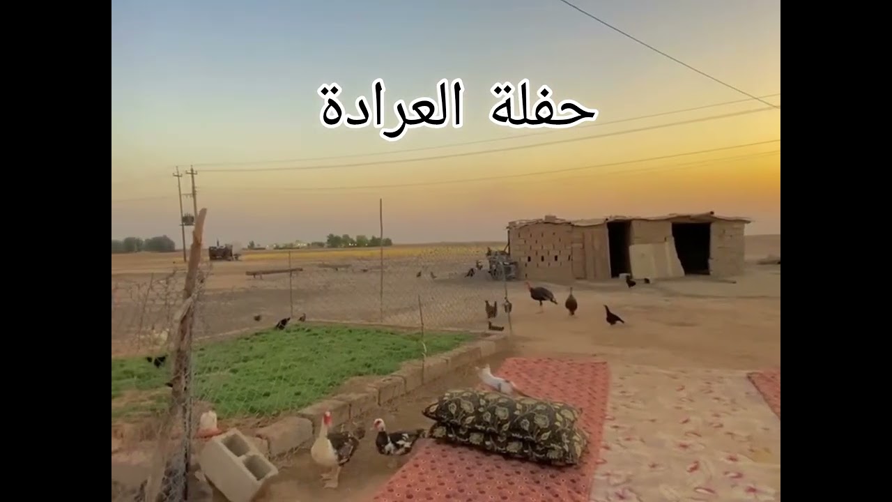 سعد الحرباوي حفلة قرية العرادة 