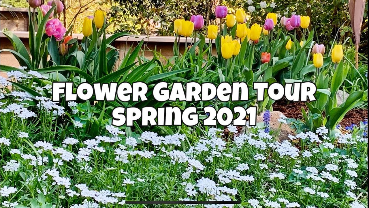 garden tour videos youtube