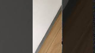 IMG 4634