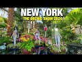 NYBG The Orchid Show 2024 in Bronx New York City : New York Botanical Garden Tour