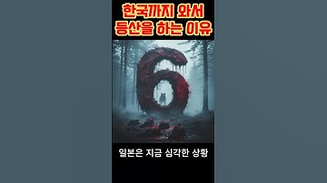 한국으로 등산 오는 진짜 이유ㅣ#추천영상#핫이슈#뉴스#다큐멘터리#여행#브이로그#shorts#한국#일본#등산
