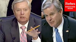 'Okay, Stop, Thank You': Lindsey Graham Questions FBI Director Christopher Wray