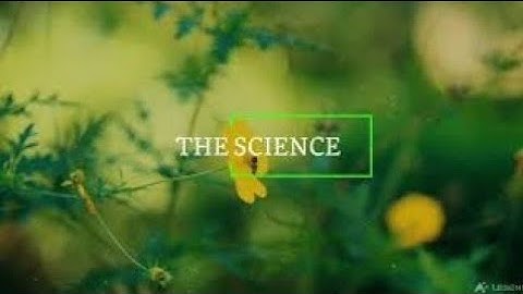 bridge course material #worksheet - 7# questions and answers#science eighth...worksheet answers