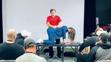 Using Targeted Cats and Dogs to Address Stability or Motor Control Dysfunction