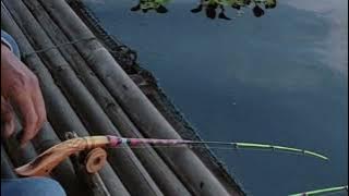 Mancing mania@Bu Teti