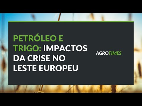 Petróleo e trigo: quais os impactos da crise entre Rússia e Ucrânia no mercado agro internacional?