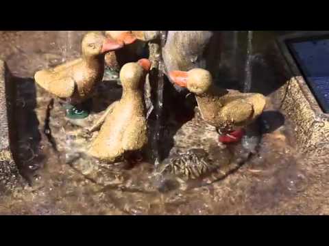 solar powered garden feature. Duck Family Water Feature by Smart Solar