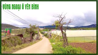 Tình Hình Đà Lạt hôm nay - Biệt thự cao cấp lại bỏ hoang, vùng ngoại ô yên bình khu An Sơn