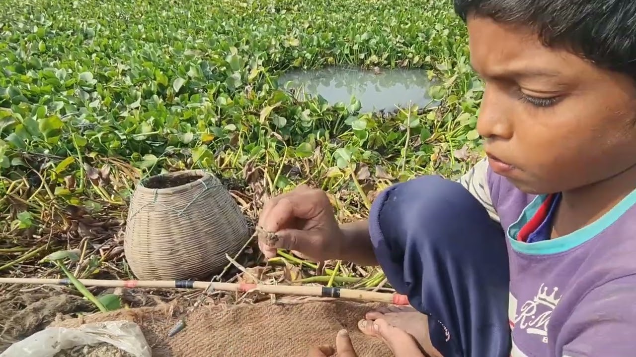 Unique Fish Trap Ideas Using Recycled Materials Plastic Bottle(1080P_HD) 