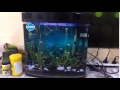 RS 380 A planted aquarium