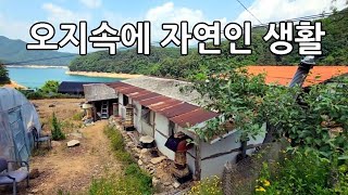 산넘고 물건너 사는 자연인 방송출연이후 어떻게 살고 있을까 오지마을 끝