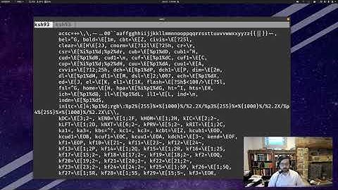 Unknown Terminal Type... How to Provide a Server with terminfo