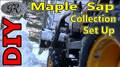DIY Maple Syrup Tapping | Setting Up The Sap Storage Container